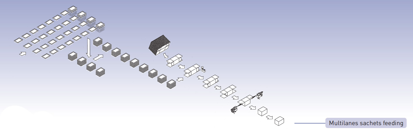 cartonneuse Multilanes sachets alimentation