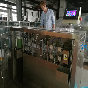 Client de Brésil vérifiant la bouteille en plastique formant, remplissant et scellant la machine dans notre usine