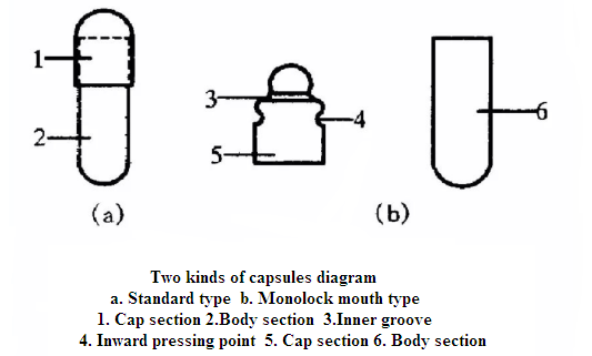 S&eacute;lection des sp&eacute;cifications 1.Capsule
