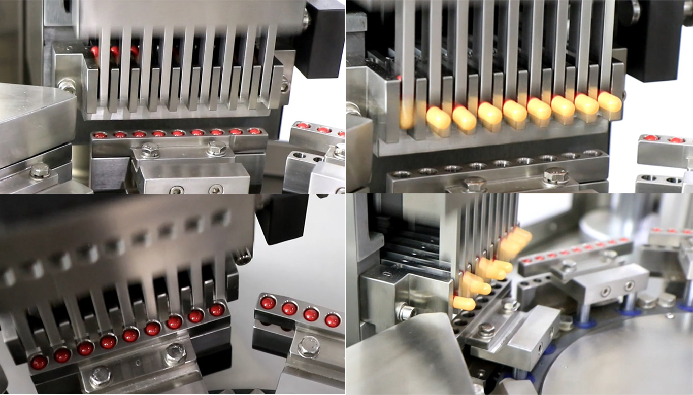 Machine de remplissage de capsules Alimentation de capsules