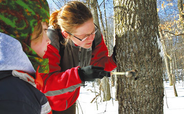 festival de sucre d'&eacute;rable