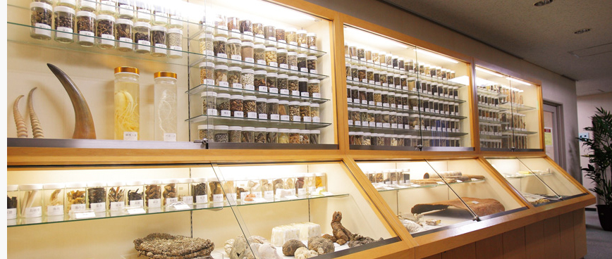 m&eacute;decine chinoise3