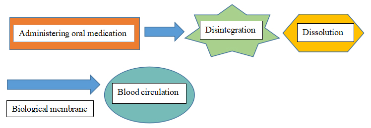 Voie d'absorption interne des formes posologiques solides